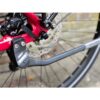 Verve +2 LowStep 300Wh 2021