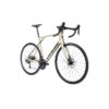 Pulsium 5.0 disc 2021